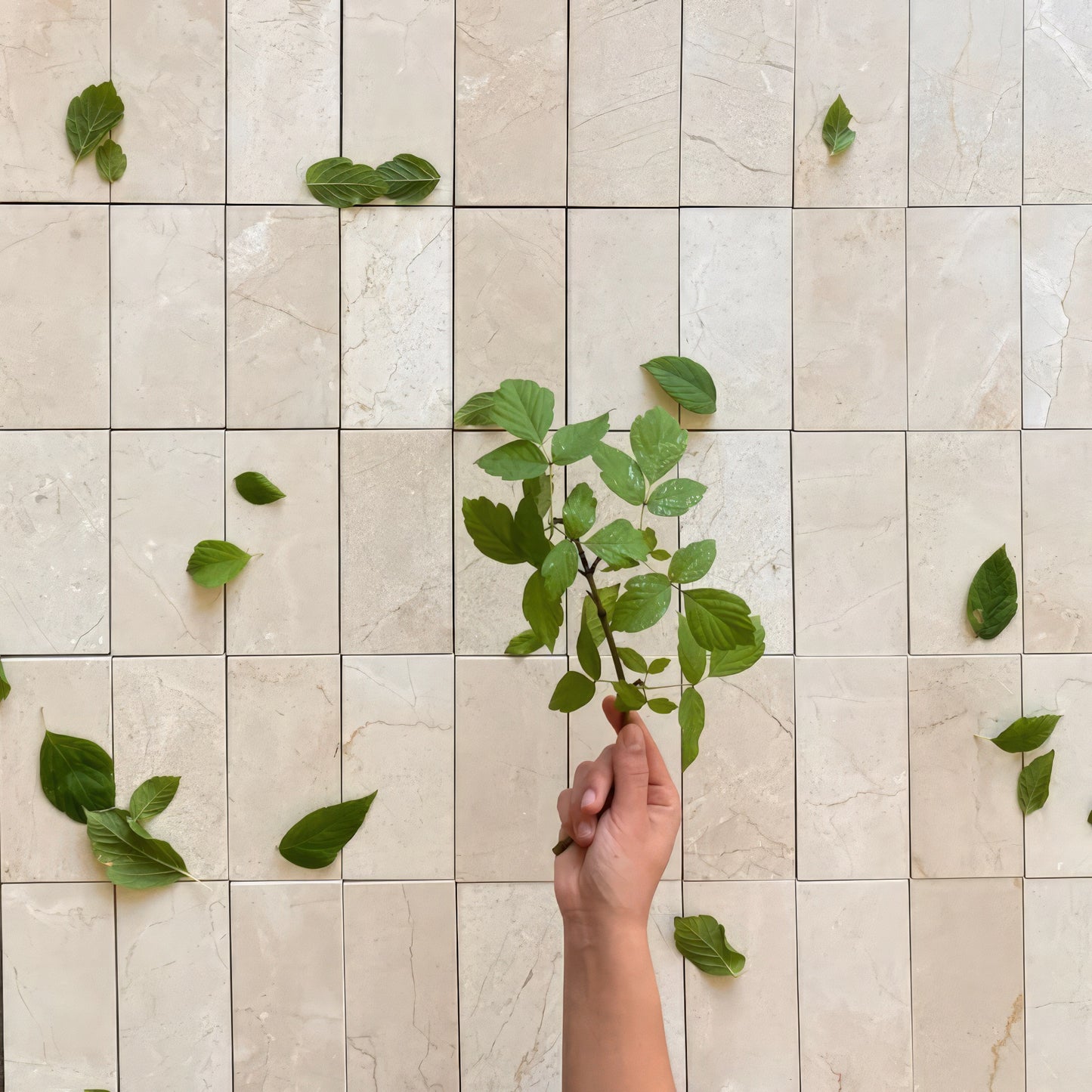 Crema Marfil 3x6 Honed Beige Marble Tile For Walls & Floors