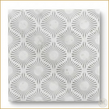 Monochrome Elegance