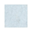 Acanthus-Leaf Engraved White Marble Tile/Uncolored