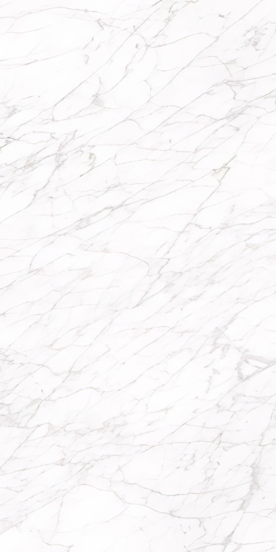 Carrara 24x48 Polished White Porcelain Tile For Walls & Floors