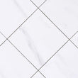 Bianco Dolomite 12x12 Polished White Marble Tile For Walls & Floors Beveled-Sample