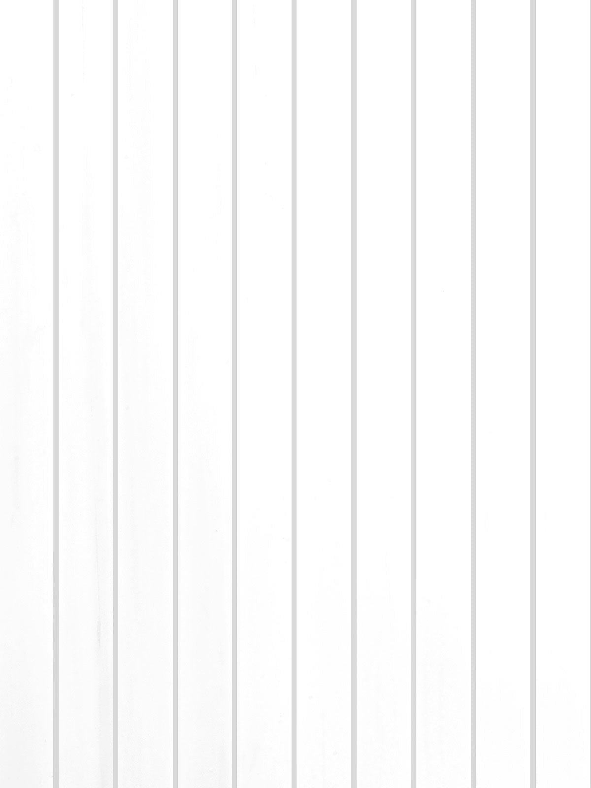 Bianco Dolomite 2x24 Polished White Marble Tile For Walls & Floors