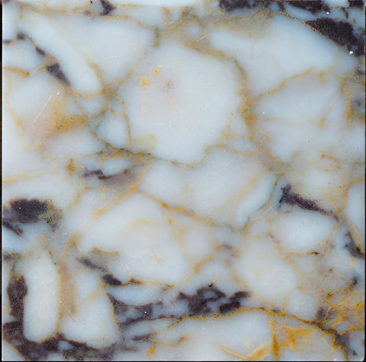 Violetta 8x8 Polished White Marble Tile For Walls & Floors