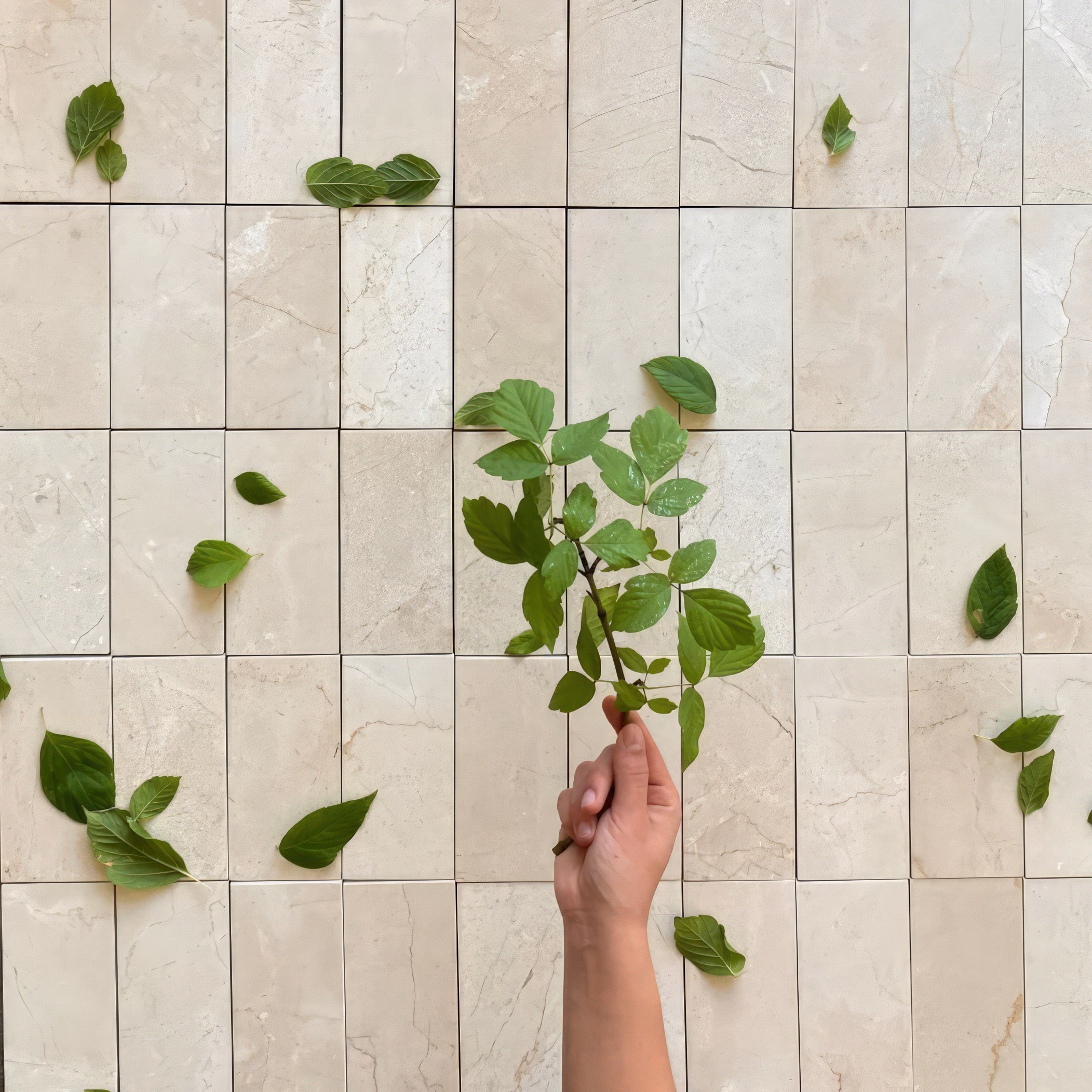 Crema Marfil 3x6 Honed Beige Marble Tile For Walls & Floors