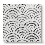 Monochrome Elegance