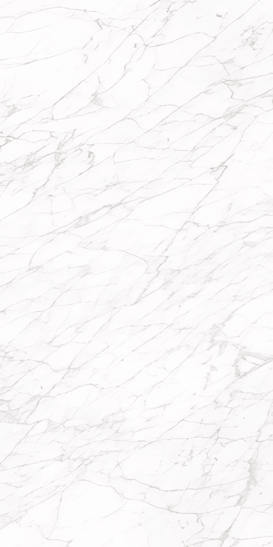 Carrara 24x48 Polished White Porcelain Tile For Walls & Floors - MARICERA