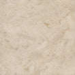 Peacock Engraved Crema Marfil Marble Mural Tile - MARICERA
